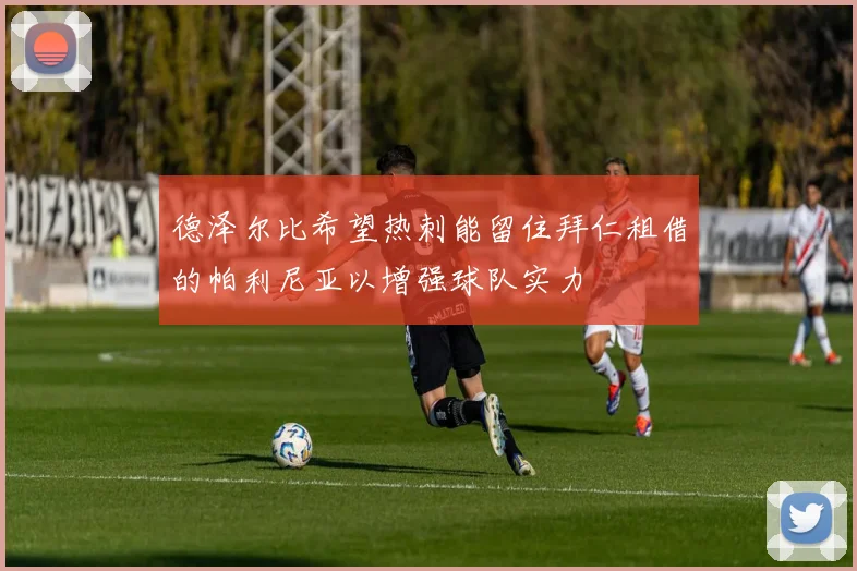 德泽尔比希望热刺能留住拜仁租借的帕利尼亚以增强球队实力